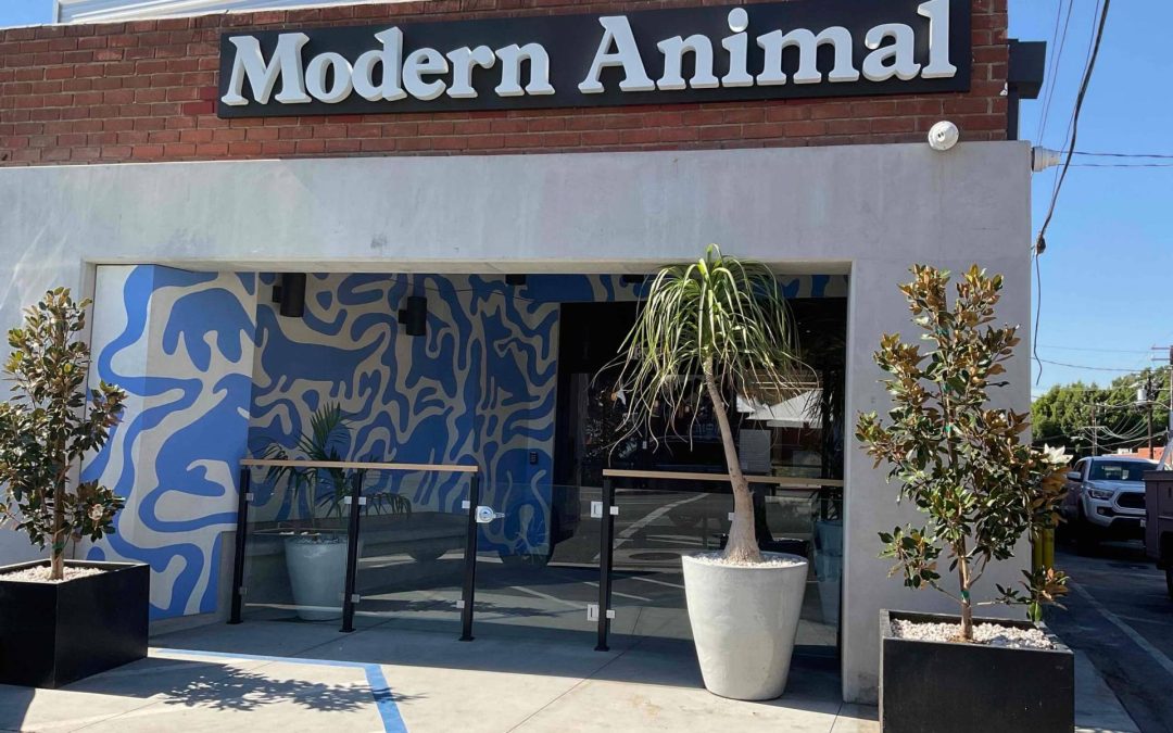 Modern Animal – Culver City, CA